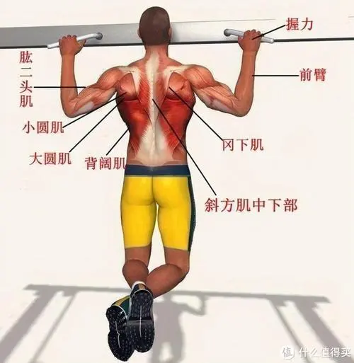 FU-29電子管功率放大器在音頻領(lǐng)域的廣泛應(yīng)用與評(píng)價(jià)